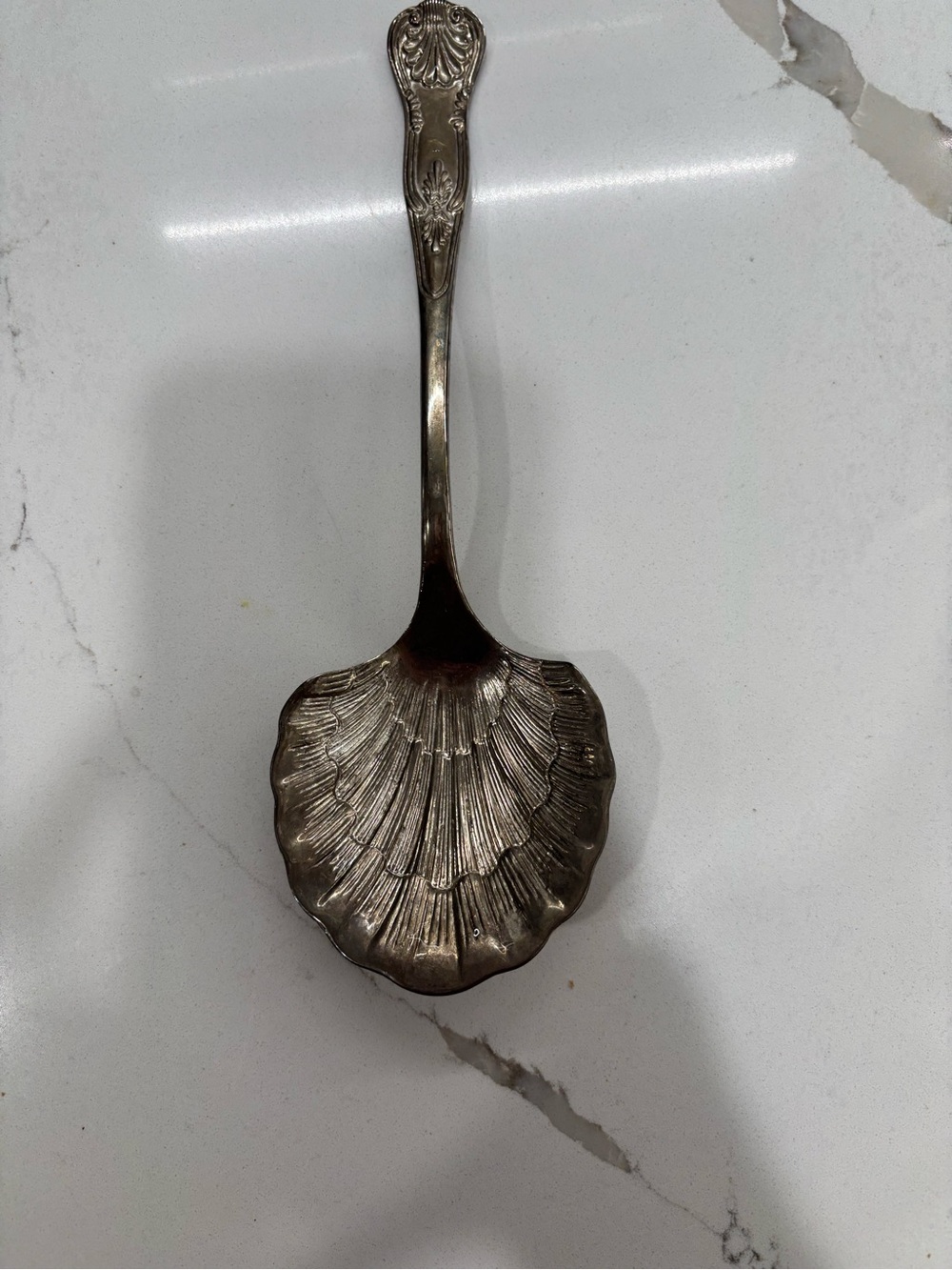 Ornate Silver Shell Serving Spoon - Classic Home Dining